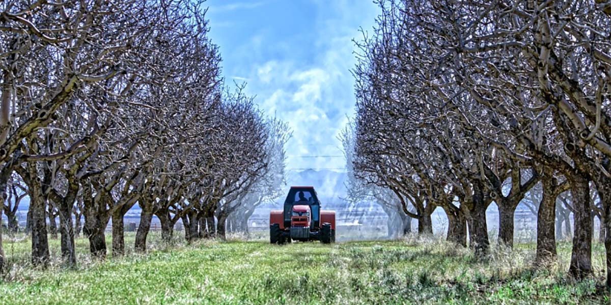 “La concimazione invernale nei frutteti è più importante di quanto si creda”